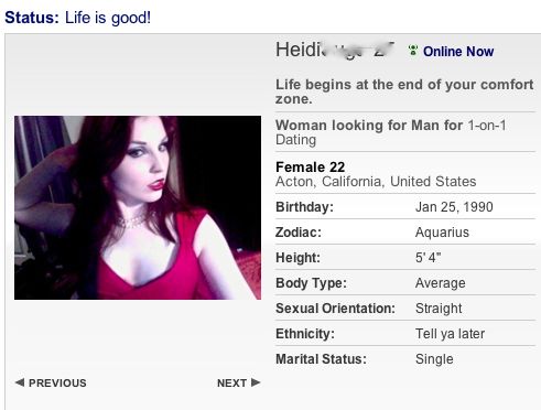 dating profile looking for examples